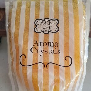Pineapple Mango scent Aroma Crystals for Warmers or Sachet Home Interiors NEW